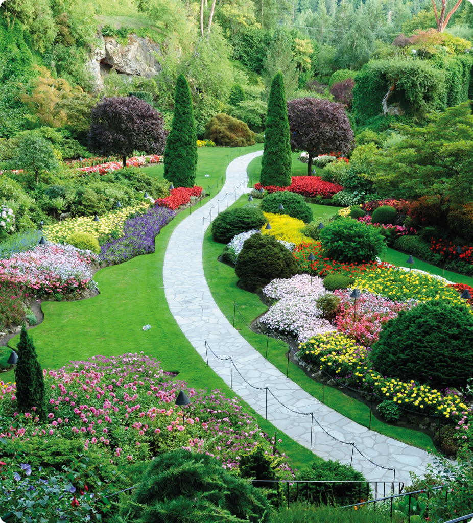 Piękny idealny ogród