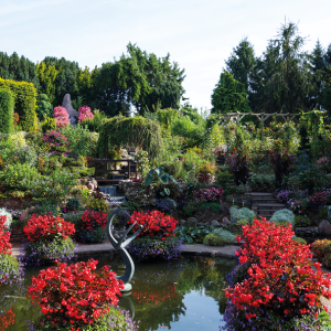 Ogród z kwiatami i oczkiem wodnym