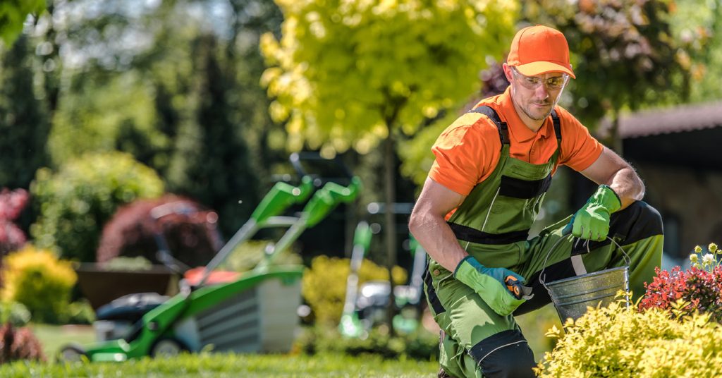 Profesjonalny pracownik dbający o ogród
